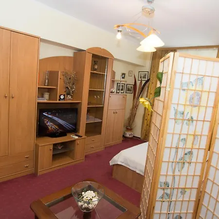 Sunny Old Town Apartments Bucharest Room photo